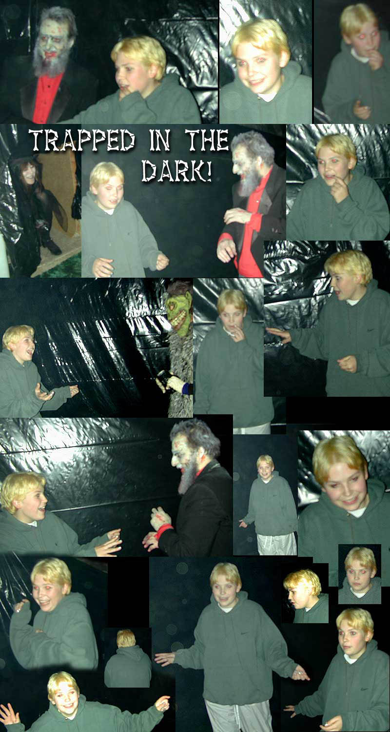 a_dummy_in_the_dark