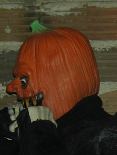 dummy7487