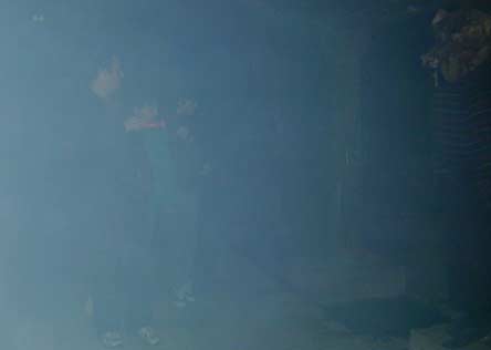 27oct2001_9582