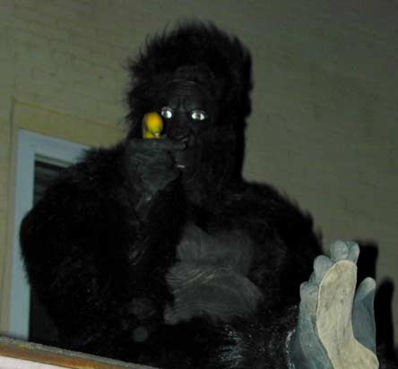 31oct2001_0121