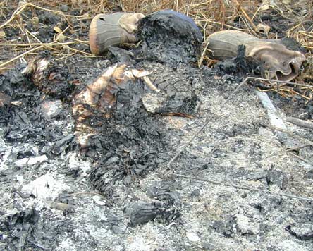 burningdummy0698